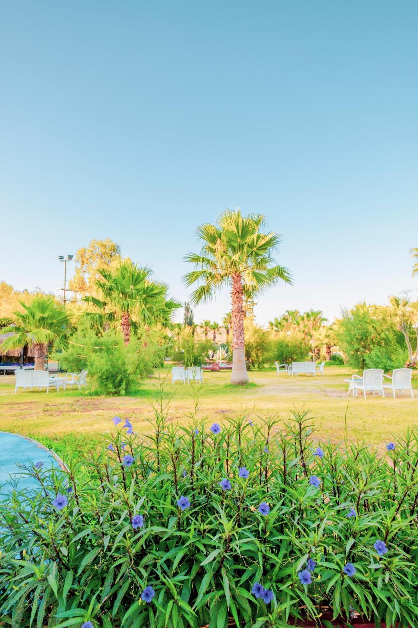Ladonia Hotels Del Mare (Adults Only) 검벳 외부 사진